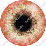 40pcs/lot 10mm 12mm 14mm 16mm Round Pupil Eye Pattern Glass Cabochon for DIY Jewelry Making Findings & Components T014