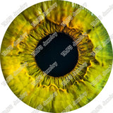 40pcs/lot 10mm 12mm 14mm 16mm Round Pupil Eye Pattern Glass Cabochon for DIY Jewelry Making Findings & Components T014
